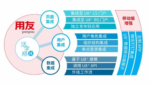 金印聯攜手葡萄城 低代碼技術驅動萬物集成，引領計算機系統服務創新