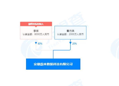 李斌投資成立蔚來數(shù)據(jù)公司，深化計(jì)算機(jī)系統(tǒng)集成服務(wù)布局