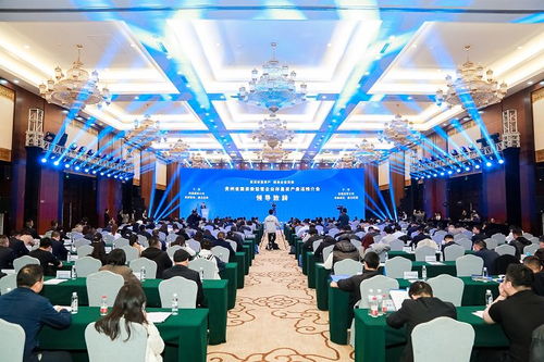 盤(pán)活存量資產(chǎn)，融通全國(guó)市場(chǎng)——貴州省國(guó)資委監(jiān)管企業(yè)資產(chǎn)推介會(huì)在貴陽(yáng)舉行